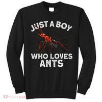 Cool Ant Ant Farm Entomology Ants Insect Sweatshirt thumb 0