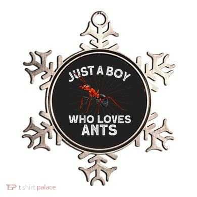 Cool Ant Ant Farm Entomology Ants Insect Ornament