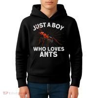 Cool Ant Ant Farm Entomology Ants Insect Kids Hoodie thumb 4