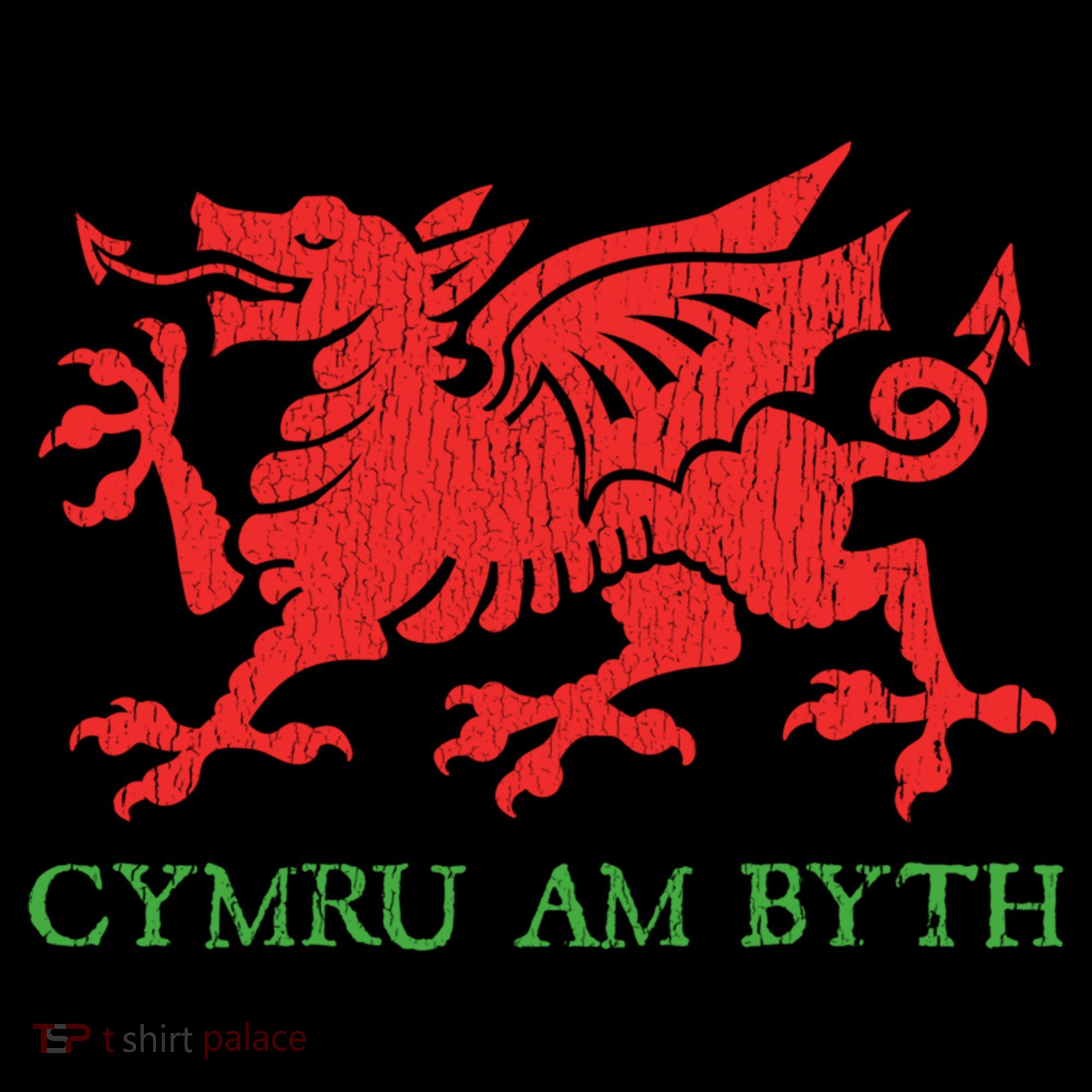 Cymru Am Byth Welsh Rugby Dragon Wales Player Pride Funny Gift Coffee Mug