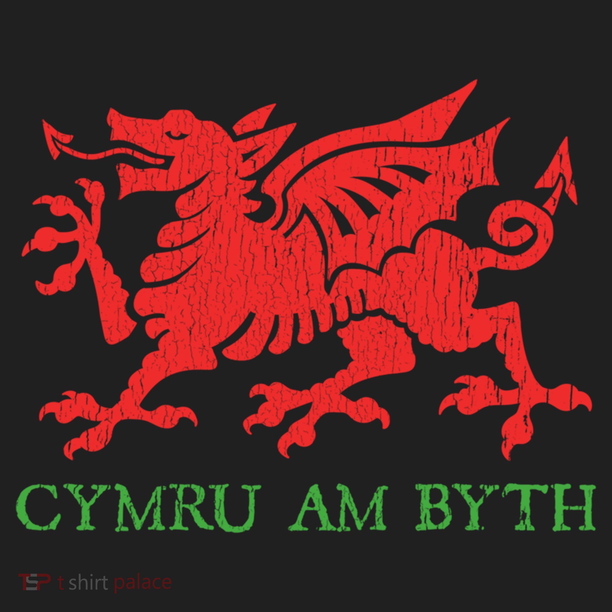 Cymru Am Byth Welsh Rugby Dragon Wales Player Pride Funny Gift Beanie