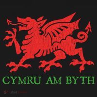 Cymru Am Byth Welsh Rugby Dragon Wales Player Pride Funny Gift Pajama Set thumb 2