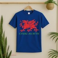 Cymru Am Byth Welsh Rugby Dragon Wales Player Pride Funny Gift T-Shirt thumb 2