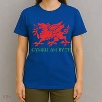Cymru Am Byth Welsh Rugby Dragon Wales Player Pride Funny Gift T-Shirt thumb 4