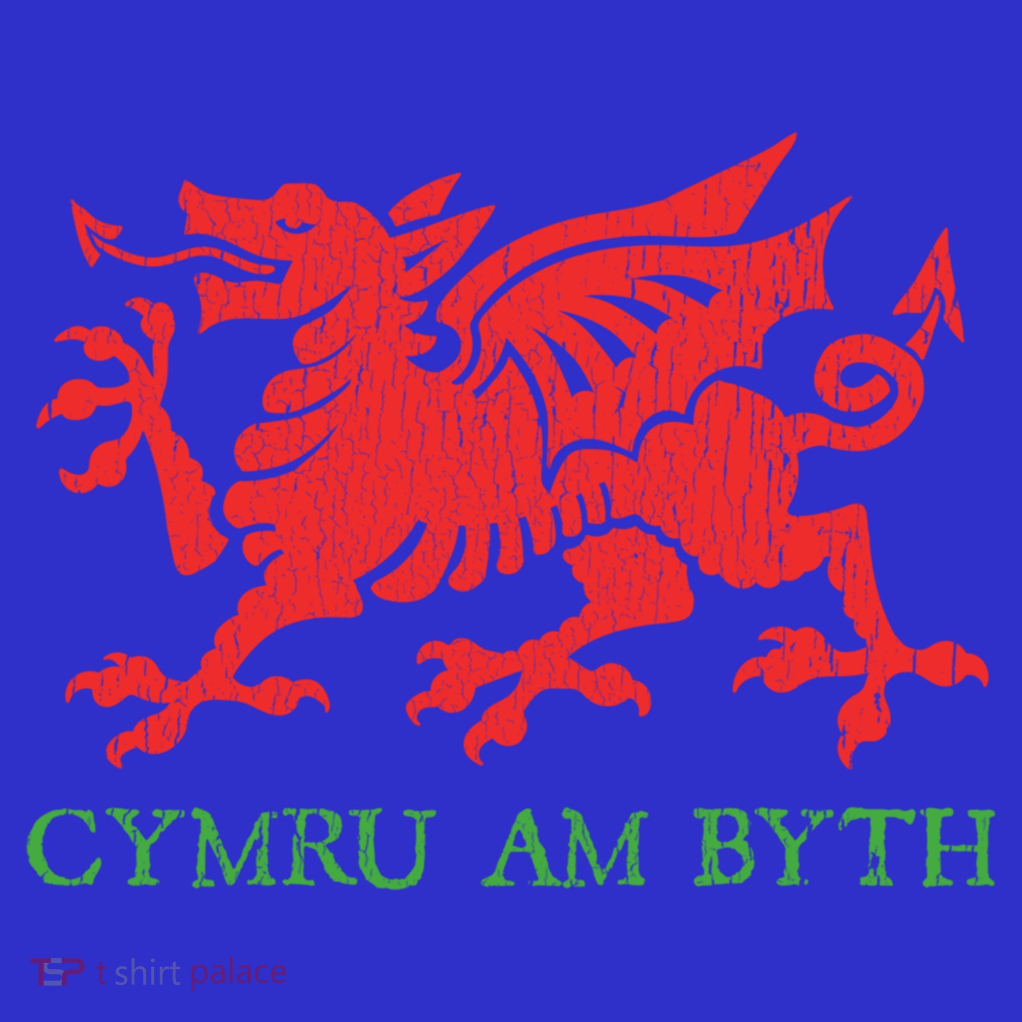 Cymru Am Byth Welsh Rugby Dragon Wales Player Pride Funny Gift T-Shirt