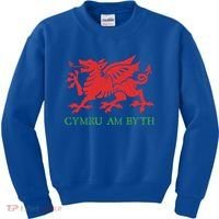 Cymru Am Byth Welsh Rugby Dragon Wales Player Pride Funny Gift Kids Sweatshirt thumb 0