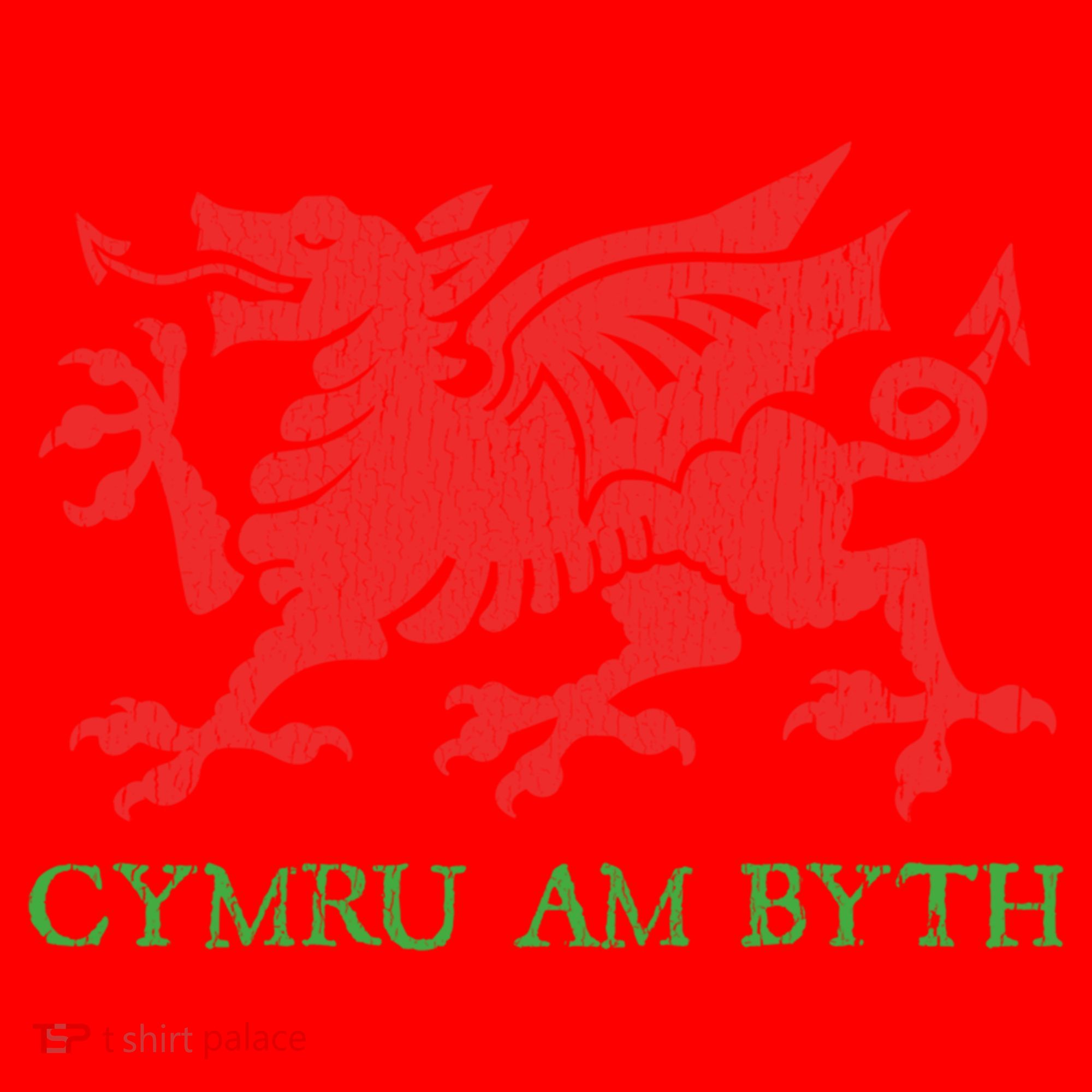Cymru Am Byth Welsh Rugby Dragon Wales Player Pride Funny Gift Santa Hat