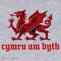Cymru am byth Wales Red Welsh Dragon Cymraeg Flag Women's Sweatshirt thumb 2