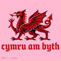 Cymru am byth Wales Red Welsh Dragon Cymraeg Flag Coaster thumb 2