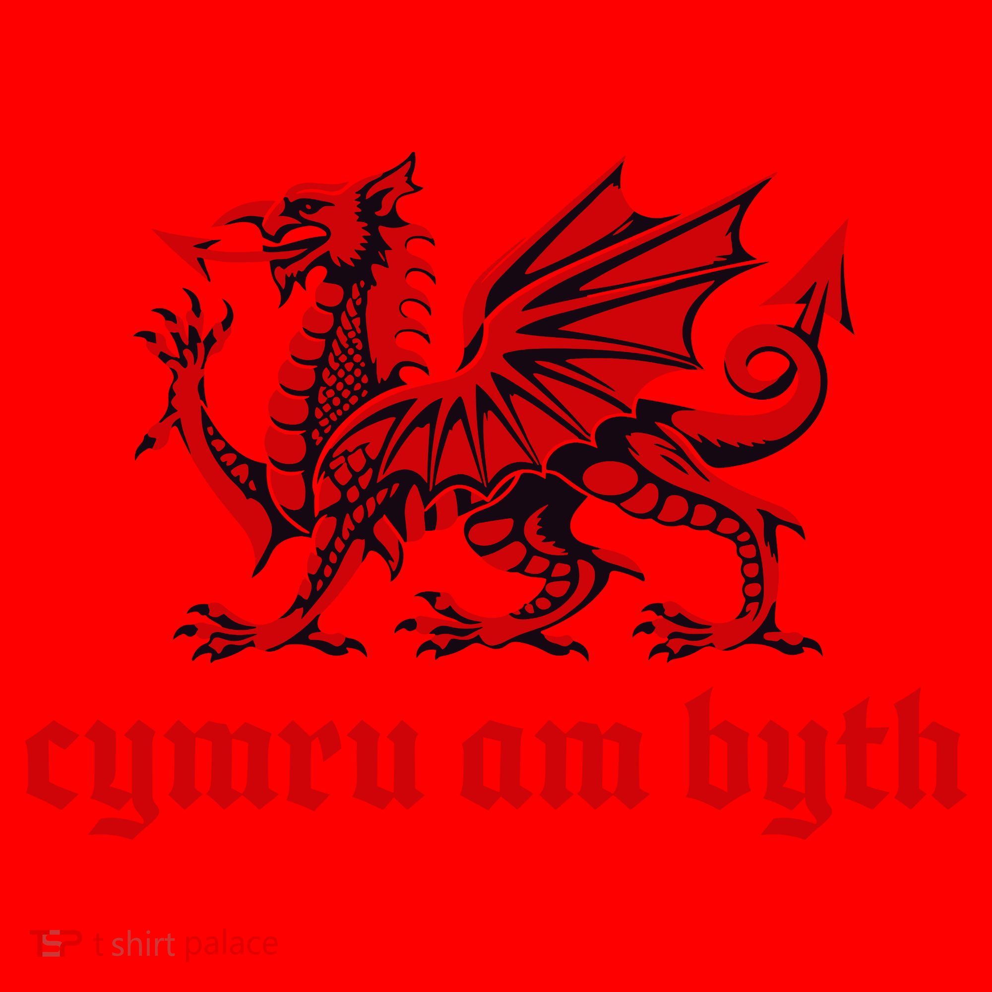 Cymru am byth Wales Red Welsh Dragon Cymraeg Flag Santa Hat