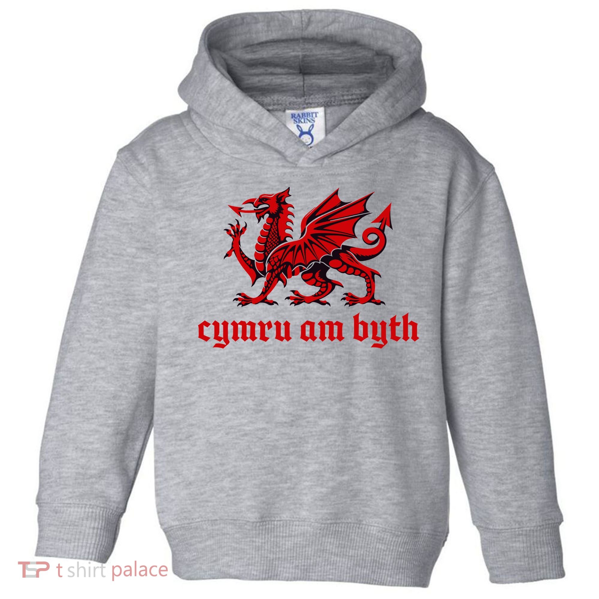 Cymru am byth Wales Red Welsh Dragon Cymraeg Flag Toddler Hoodie