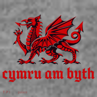 Cymru am byth Wales Red Welsh Dragon Cymraeg Flag Toddler Hoodie thumb 2