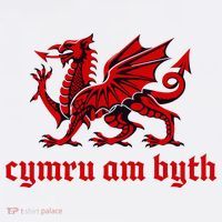 Cymru am byth Wales Red Welsh Dragon Cymraeg Flag Women's Hoodie thumb 2