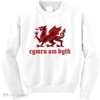 Cymru am byth Wales Red Welsh Dragon Cymraeg Flag Kids Sweatshirt thumb 0