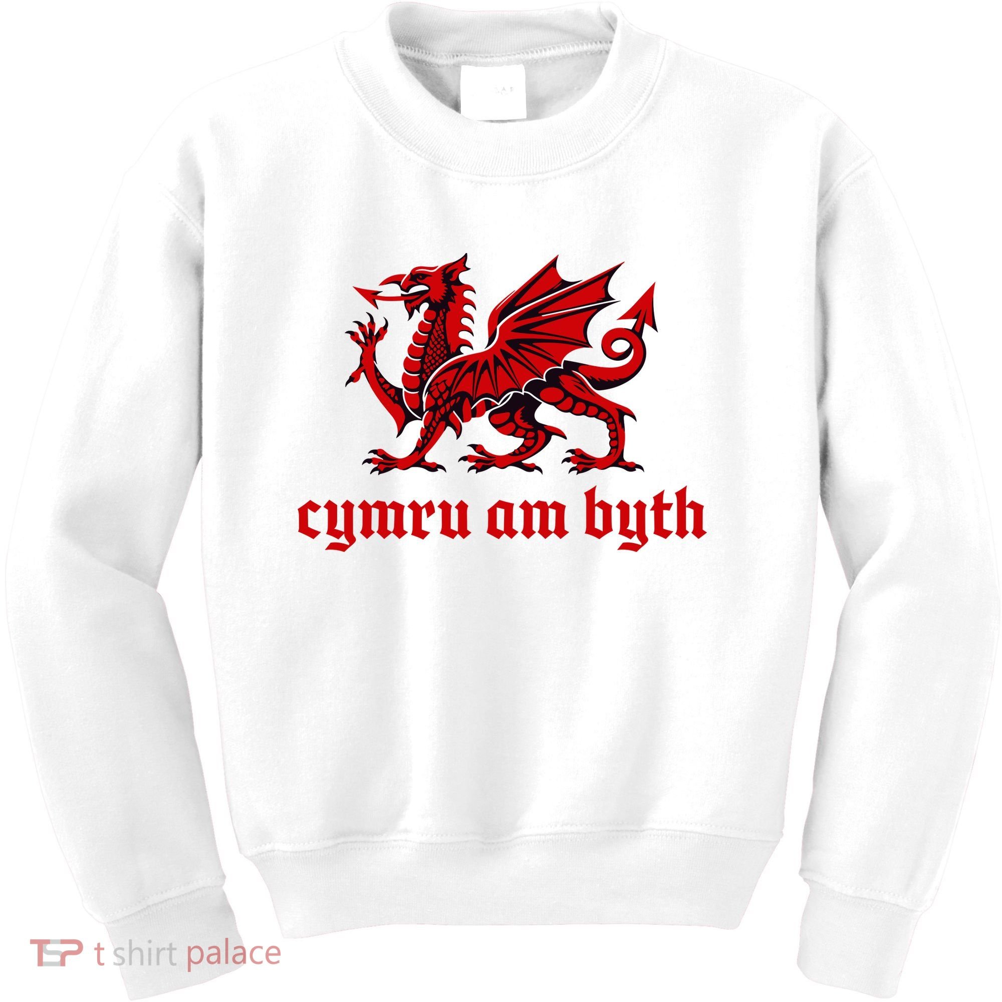 Cymru am byth Wales Red Welsh Dragon Cymraeg Flag Kids Sweatshirt