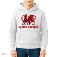 Cymru am byth Wales Red Welsh Dragon Cymraeg Flag Kids Hoodie thumb 4