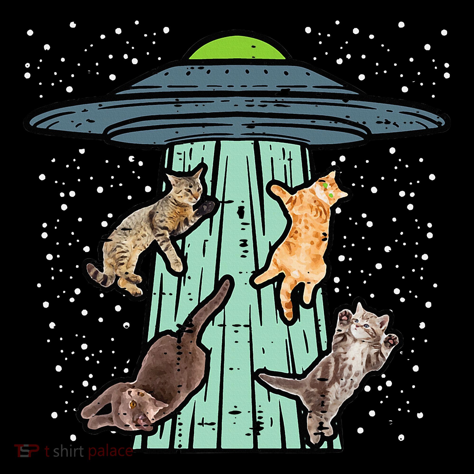 Cats Abducted By Ufo Funny Alien Space Lover Women's Hoodie
