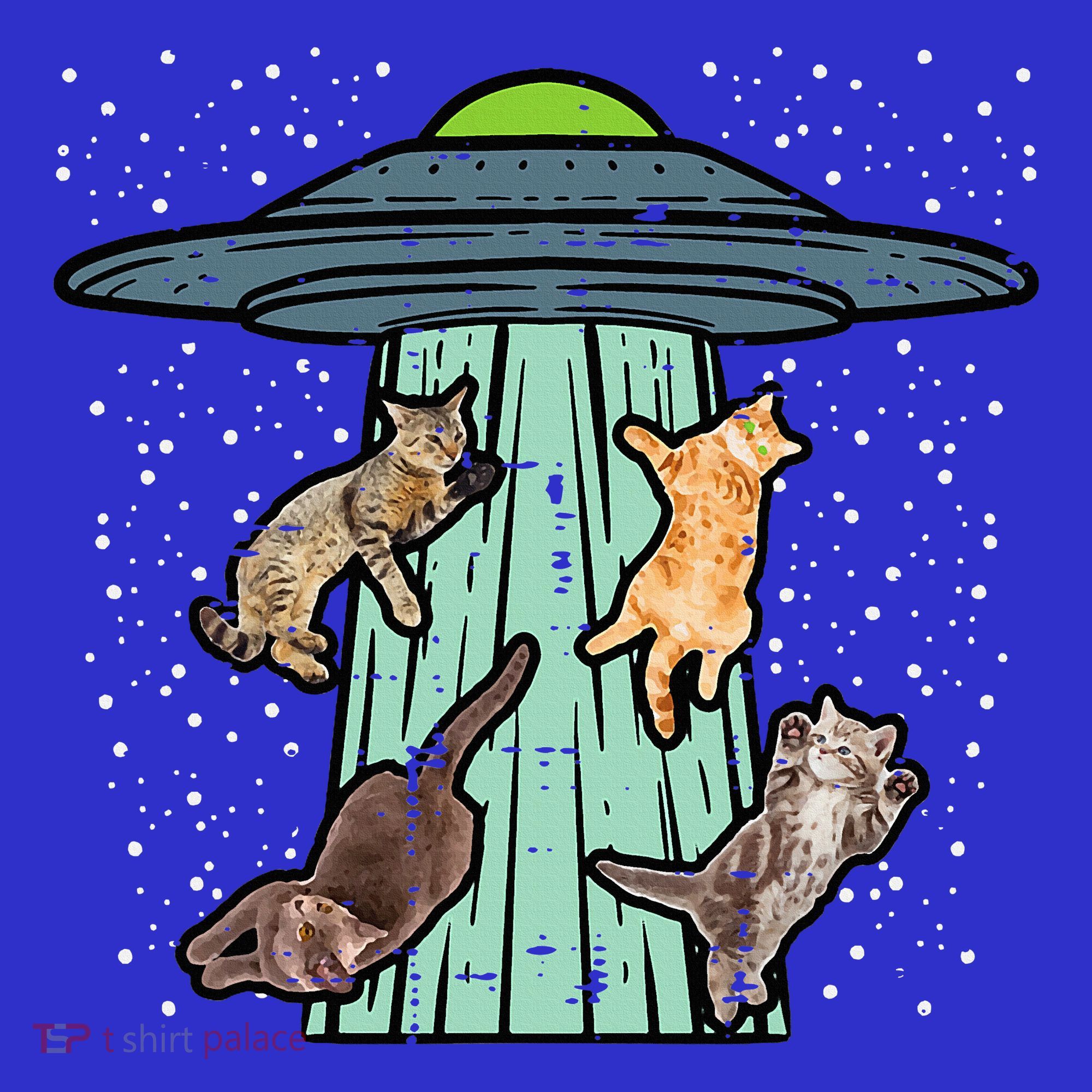 Cats Abducted By Ufo Funny Alien Space Lover Visor