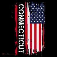 Connecticut America Toddler Hoodie thumb 2