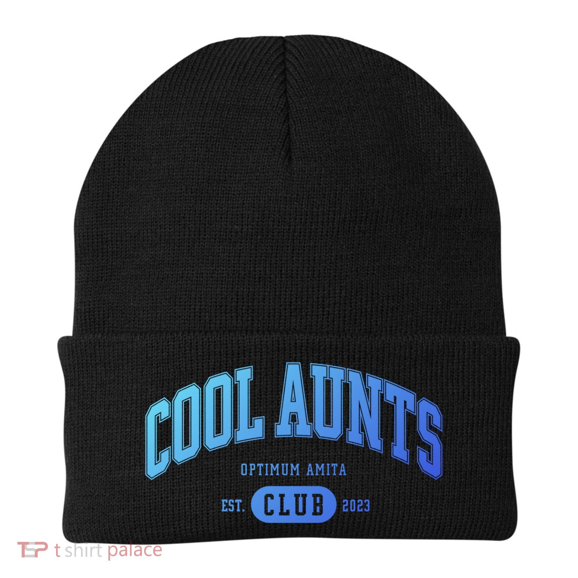 Cool Aunts Club Gift Beanie