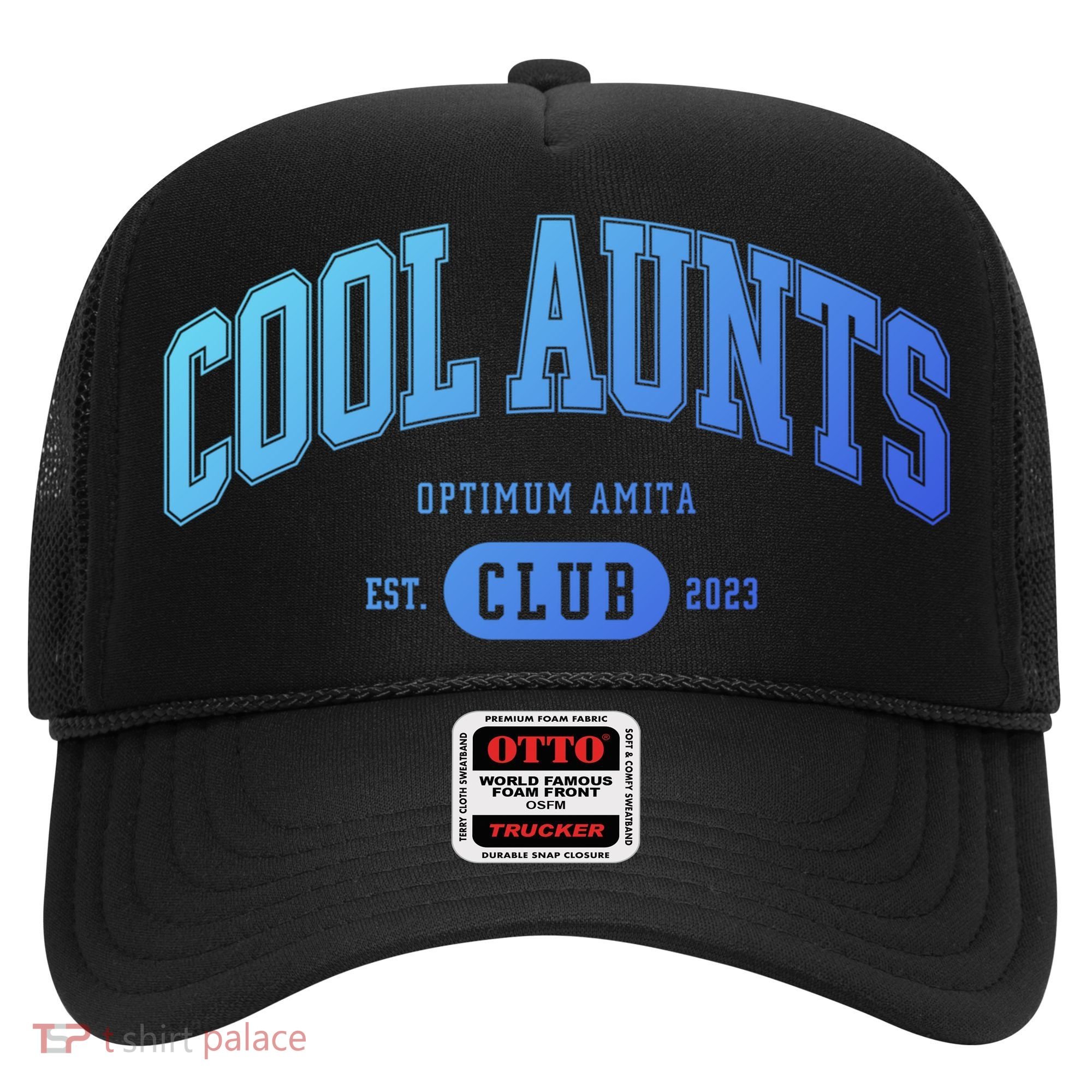 Cool Aunts Club Gift Hat