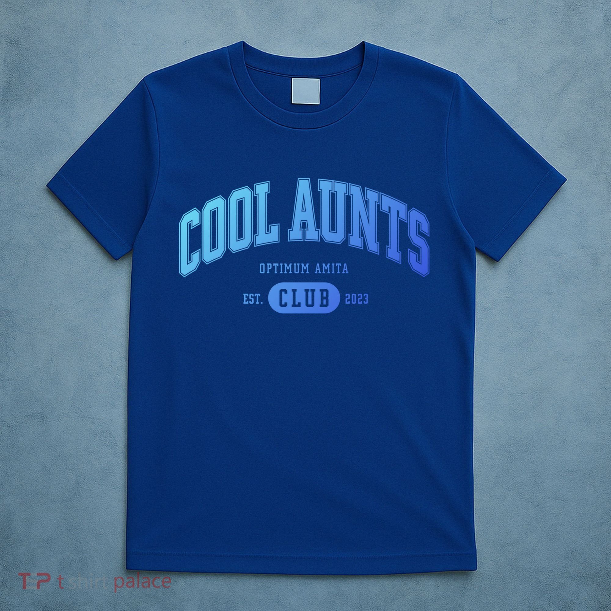 Cool Aunts Club Gift T-Shirt