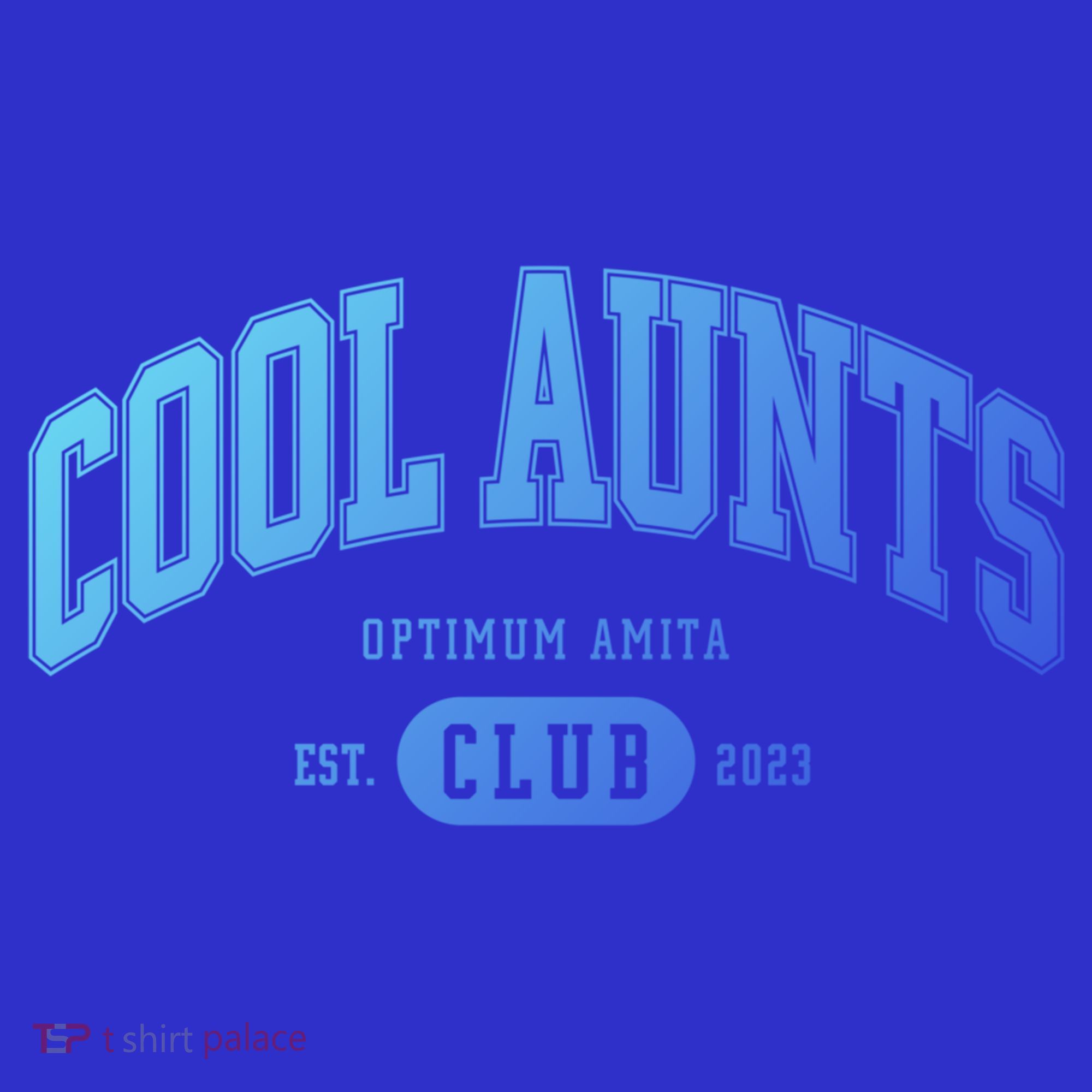 Cool Aunts Club Gift Kids Sweatshirt