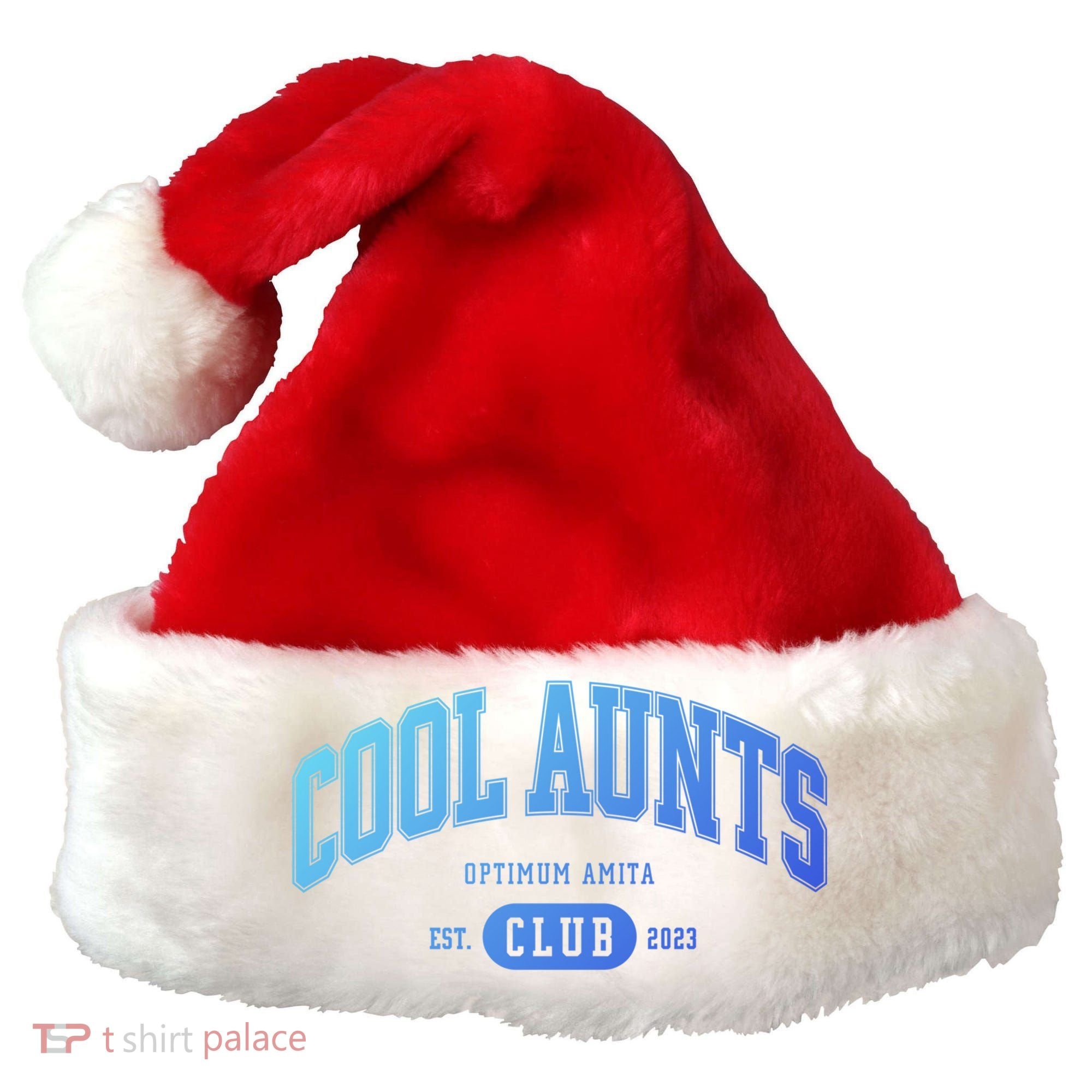 Cool Aunts Club Gift Santa Hat