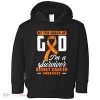 Cancer Awareness Chemotherapy Leukemia Cancer Survivor Toddler Hoodie thumb 0