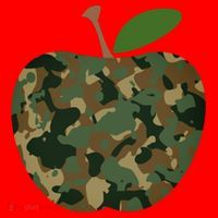 Camouflage Apple Santa Hat thumb 1