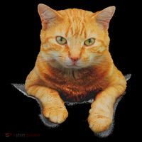 Cat Animals Creative Cat Motif Bag Cat Mousepad thumb 1