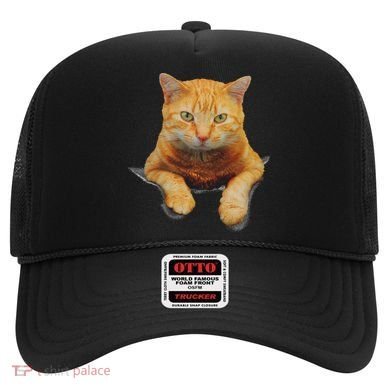 Cat Animals Creative Cat Motif Bag Cat Hat