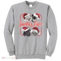 Cats And Dogs Santa's Love Sweatshirt thumb 0