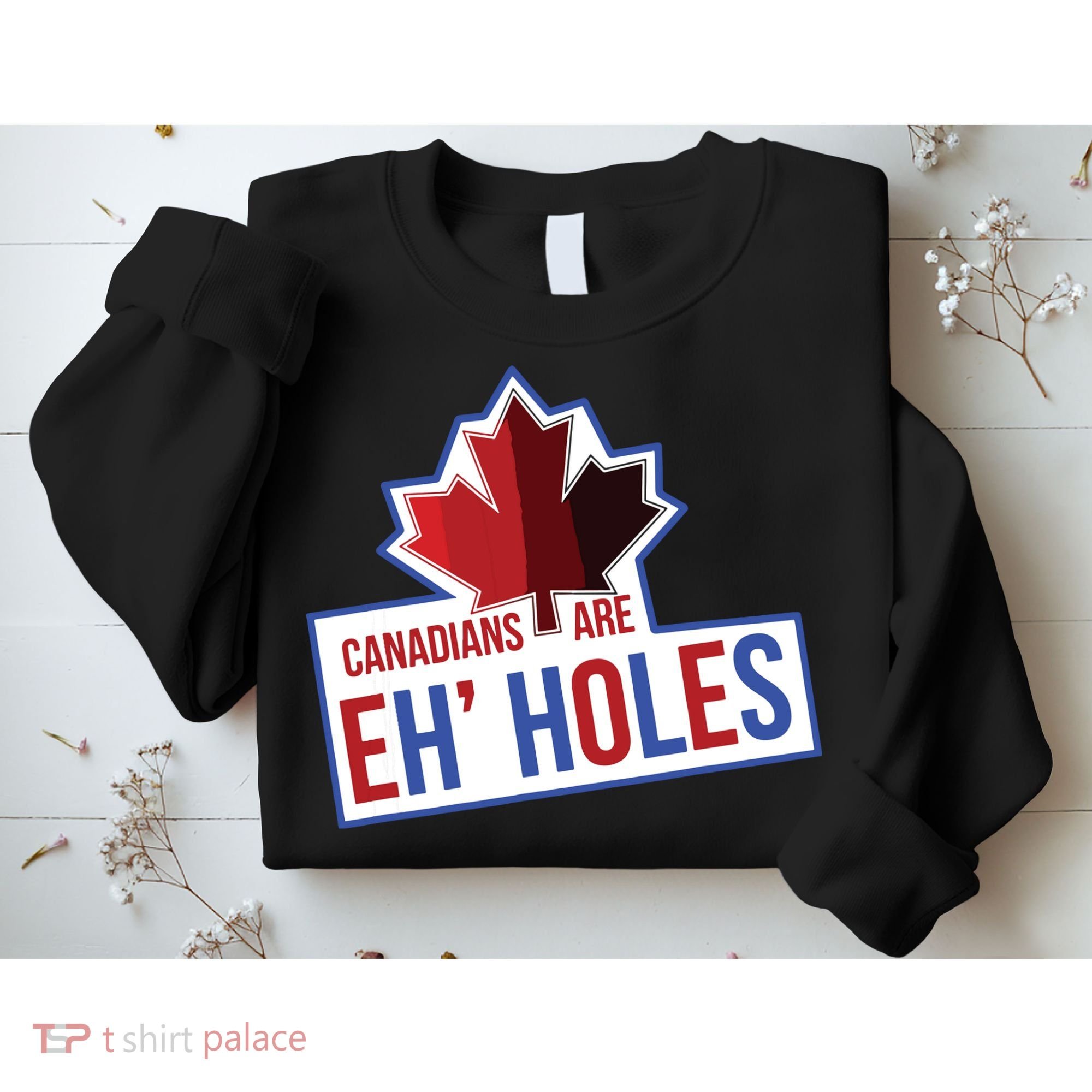 Canadians Are Eh Holes Funny Canada Sweatshirt