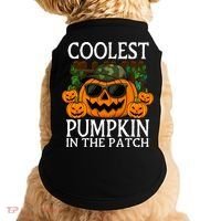 Cute And Funny Halloween Coolest Pumpkin In The Patch Doggie Tank thumb 0