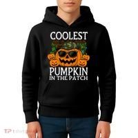 Cute And Funny Halloween Coolest Pumpkin In The Patch Kids Hoodie thumb 4