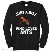 Cool Ant For Ant Farm Entomology Ants Insect Sweatshirt thumb 0