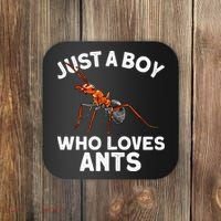 Cool Ant For Ant Farm Entomology Ants Insect Coaster thumb 0