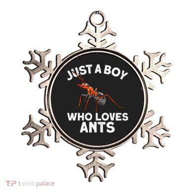 Cool Ant For Ant Farm Entomology Ants Insect Ornament