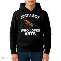 Cool Ant For Ant Farm Entomology Ants Insect Kids Hoodie thumb 4