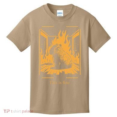 Capybara Amidst Flames This Is Fine Meme Art Kids T-Shirt