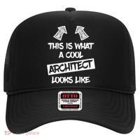 Cool Architect Funny Saying Architects Architecture Student Gift Hat thumb 0