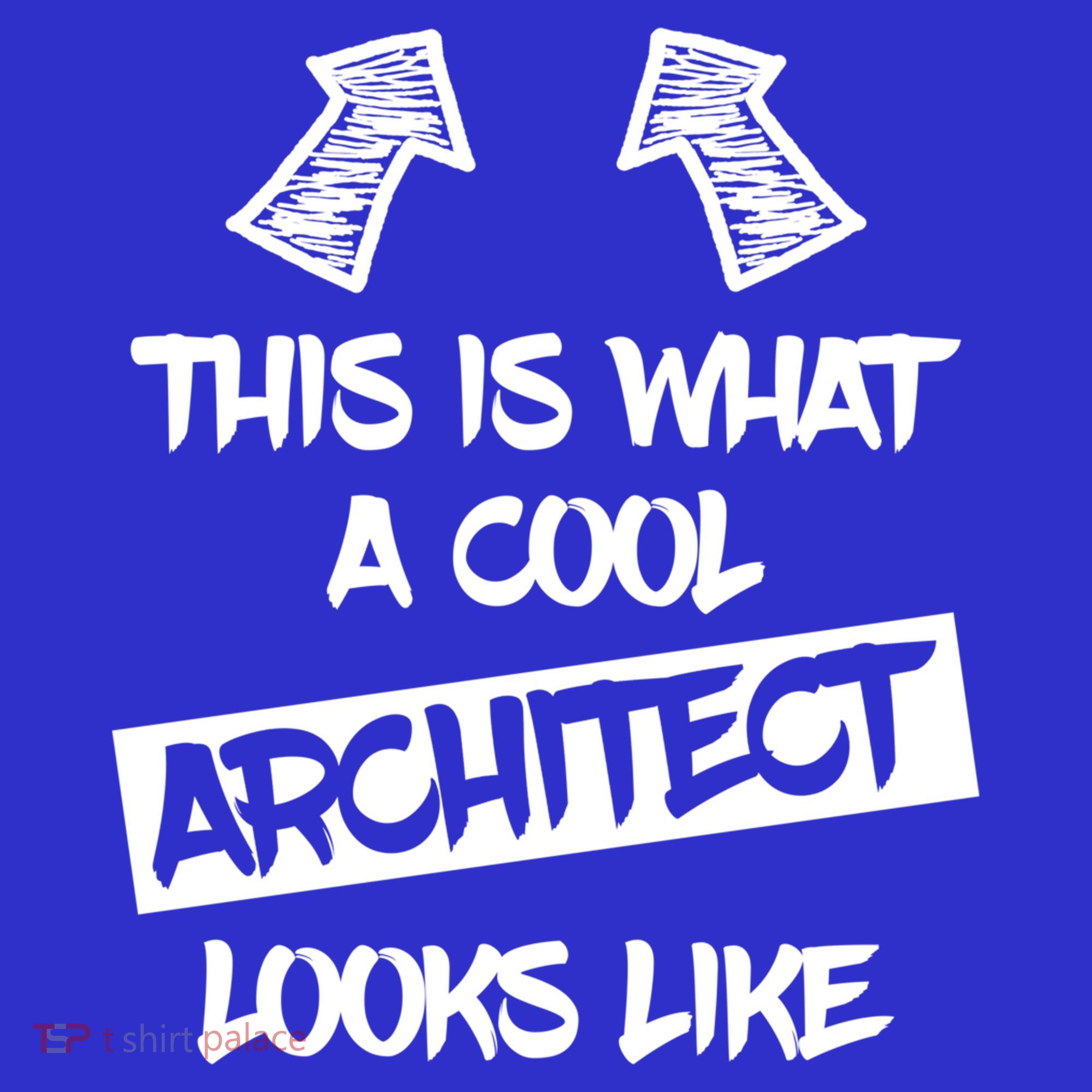 Cool Architect Funny Saying Architects Architecture Student Gift Long Sleeve Shirt
