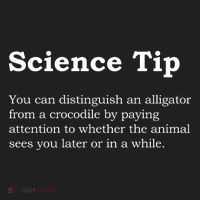 Crocodile Alligator Funny Science Tip Women's Sweatshirt thumb 2