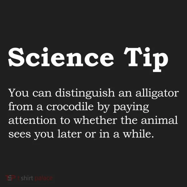 Crocodile Alligator Funny Science Tip Women's Sweatshirt