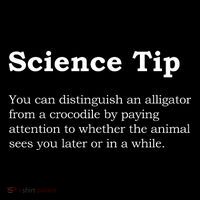 Crocodile Alligator Funny Science Tip Women's Hoodie thumb 2