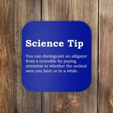 Crocodile Alligator Funny Science Tip Coaster