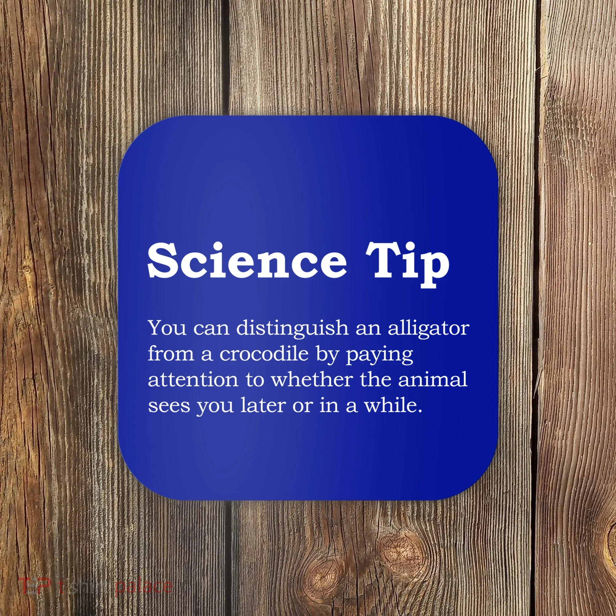 Crocodile Alligator Funny Science Tip Coaster
