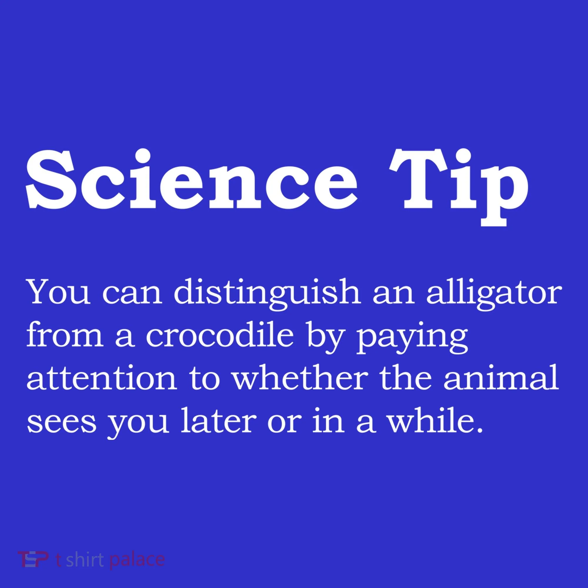 Crocodile Alligator Funny Science Tip Coaster