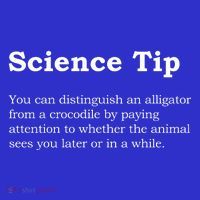 Crocodile Alligator Funny Science Tip Women's T-Shirt thumb 6